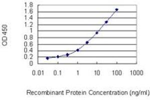 Detection limit for recombinant GST tagged PLD1 is 0. (PLD1 Antikörper  (AA 965-1074))