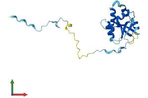 Protein Structure (PS) image for FCF1 Small Subunit (SSU) Processome Component Homolog (FCF1) (AA 1-198) protein (His tag) (ABIN7560640)