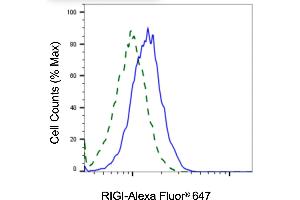 Validation of RIGI knockdown using flow cytometry. (Rekombinanter RNA Sensor RIG-I Antikörper)