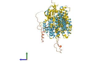 AlphaFold protein structure predicition of Mouse Recombinant Psmd2 Protein, UniprotID Q8VDM4