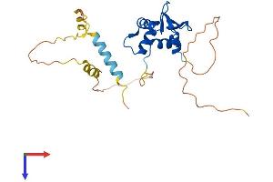 SPIC Protein (AA 1-248) (His tag)