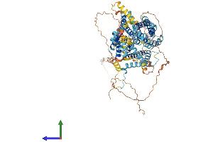 Protein Structure (PS) image for Solute Carrier Family 9 (Sodium/hydrogen Exchanger), Member 4 (SLC9A4) (AA 1-798) protein (His tag) (ABIN7555537)