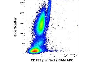 Flow cytometry surface staining pattern of human peripheral whole blood stained using anti-human CD199 (C9Mab-1) purified antibody (concentration in sample 0. (CCR9 Antikörper)