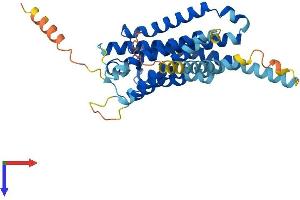 AlphaFold protein structure predicition of Mouse Recombinant Gpr52 Protein, UniprotID P0C5J4 (GPR52 Protein (AA 1-361) (His tag))