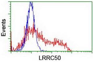 HEK293T cells transfected with either RC205452 overexpress plasmid (Red) or empty vector control plasmid (Blue) were immunostained by anti-LRRC50 antibody (ABIN2455718), and then analyzed by flow cytometry. (LRRC50 Antikörper)