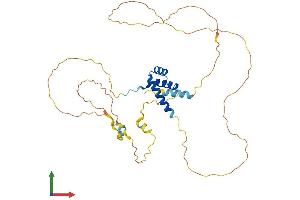 Protein Structure (PS) image for Homeobox B2 (HOXB2) (AA 1-354) protein (His tag) (ABIN7562791)