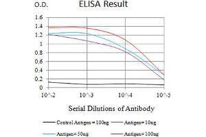 Black line: Control Antigen (100 ng),Purple line: Antigen (10 ng), Blue line: Antigen (50 ng), Red line:Antigen (100 ng) (TACI Antikörper  (AA 1-165))