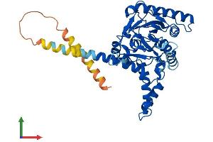 Protein Structure (PS) image for Diacylglycerol O-Acyltransferase 2 (DGAT2) (AA 1-388) protein (His tag) (ABIN7561359)