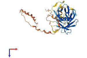 PLSCR3 Protein (AA 1-296) (His tag)