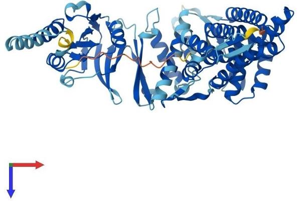 CCT7 Protein (AA 1-543) (His tag)