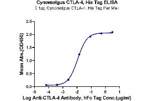 Immobilized Cynomolgus CTLA-4, His Tag at 1 μg/mL (100 μL/well) on the plate.