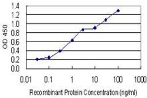 Detection limit for recombinant GST tagged GJD2 is 0. (GJD2 Antikörper  (AA 99-197))