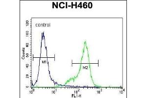 UCHL1 Antibody (C-term) (ABIN1882188 and ABIN2839165) flow cytometric analysis of NCI- cells (right histogram) compared to a negative control cell (left histogram). (UCHL1 Antikörper  (C-Term))