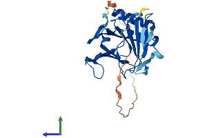 Protein Structure (PS) image for AlkB, Alkylation Repair Homolog 2 (ALKBH2) (AA 1-261) protein (His tag) (ABIN7552181)