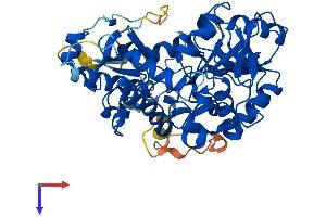 NT5DC1 Protein (AA 1-455) (His tag)