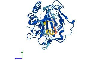 Protein Structure (PS) image for Phytanoyl-CoA Dioxygenase Domain Containing 1 (PHYHD1) (AA 1-291) protein (His tag) (ABIN7561254)