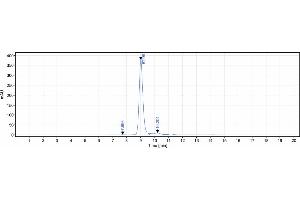 anti-FGFR3 (Vofatamab Biosimilar) antibody