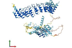 AlphaFold protein structure predicition of Human Recombinant ANKEF1 Protein, UniprotID Q9NU02