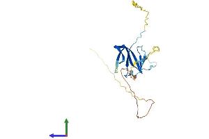 Protein Structure (PS) image for General Transcription Factor IIIC, Polypeptide 6, alpha 35kDa (GTF3C6) (AA 1-227) protein (His tag) (ABIN7561131)