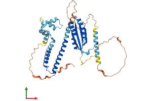 AlphaFold protein structure predicition of Human Recombinant NECAB3 Protein, UniprotID Q96P71 (NECAB3 Protein (AA 1-396) (His tag))