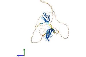 Protein Structure (PS) image for LIM Homeobox 1 (LHX1) (AA 1-406) protein (His tag) (ABIN7556632)