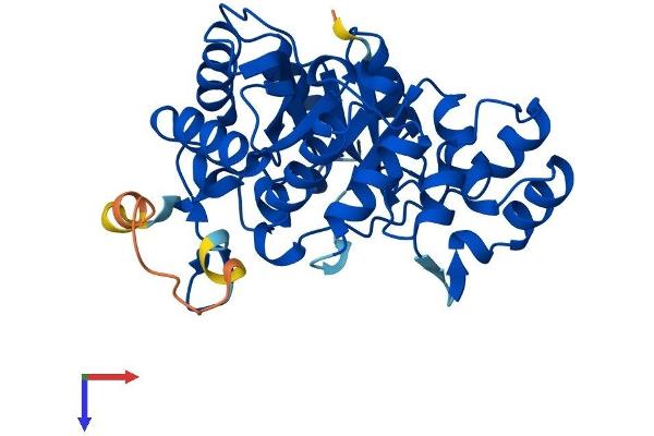 AKR1E2 Protein (AA 1-320) (His tag)