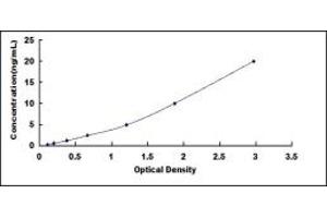 Typical standard curve (PSMA5 ELISA Kit)