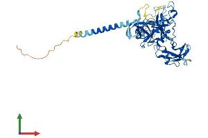 Protein Structure (PS) image for Transmembrane Protease, serine 4 (TMPRSS4) (AA 1-435) protein (His tag) (ABIN7559807)