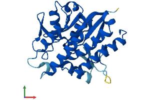 Protein Structure (PS) image for Patatin-Like phospholipase Domain Containing 4 (PNPLA4) (AA 1-253) protein (His tag) (ABIN7550783)