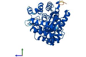 AlphaFold protein structure predicition of Mouse Recombinant Urod Protein, UniprotID P70697 (UROD Protein (AA 1-367) (His tag))