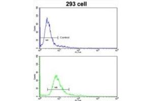 Flow Cytometry (FACS) image for anti-Homeobox A5 (HOXA5) antibody (ABIN3002754) (HOXA5 Antikörper)