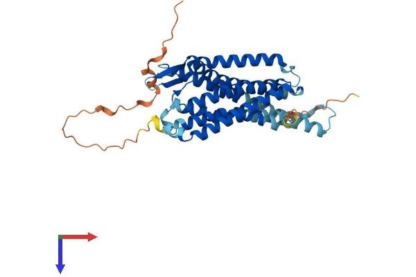 PRLHR Protein (AA 1-370) (His tag)