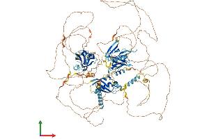 Protein Structure (PS) image for Par-3 Partitioning Defective 3 Homolog B (PARD3B) (AA 1-1205) protein (His tag) (ABIN7554884)