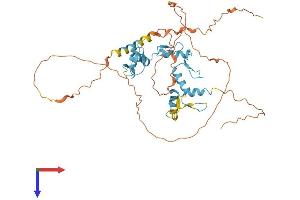 ZNF362 Protein (AA 1-420) (His tag)