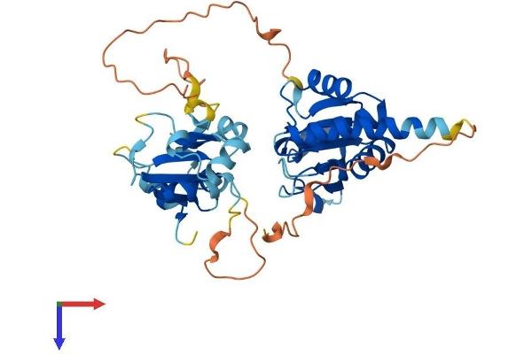DUSP9 Protein (AA 1-384) (His tag)