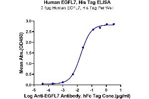 ELISA image for EGF-Like-Domain, Multiple 7 (EGFL7) (AA 24-273) protein (His tag) (ABIN7274523)