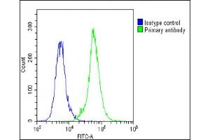 Overlay histogram showing A549 cells stained with (ABIN1537480 and ABIN2848885)(green line). (LOXL4 Antikörper  (C-Term))