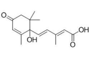 Image no. 2 for Abscisic Acid (ABA) peptide (Ovalbumin) (ABIN5666060) (Abscisic Acid (ABA) peptide (Ovalbumin))
