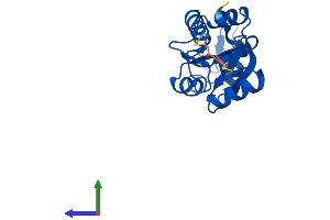 AlphaFold protein structure predicition of Human Recombinant MDP1 Protein, UniprotID Q86V88
