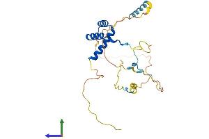 Protein Structure (PS) image for Homeobox B4 (HOXB4) (AA 1-250) protein (His tag) (ABIN7562824)