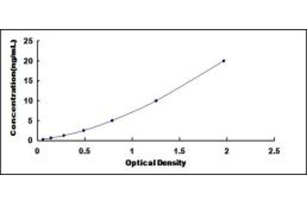 VHL ELISA Kit