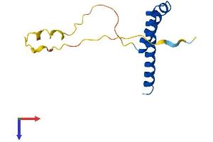 CDK2AP1 Protein (AA 1-114) (His tag)