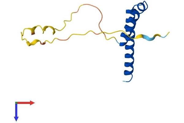 CDK2AP1 Protein (AA 1-114) (His tag)
