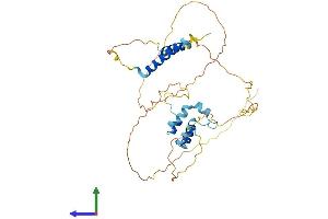 Protein Structure (PS) image for Caspase Activity and Apoptosis Inhibitor 1 (CAAP1) (AA 1-361) protein (His tag) (ABIN7552889)