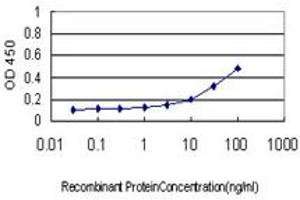 Detection limit for recombinant GST tagged DAZ1 is approximately 1ng/ml as a capture antibody. (DAZ1 Antikörper  (AA 21-120))