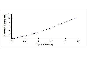 Typical standard curve (MLKL ELISA Kit)