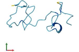 Protein Structure (PS) image for Metallothionein 2 (MT2) (AA 1-61) protein (Fc Tag) (ABIN7562726)