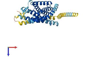 GPR65 Protein (AA 1-337) (His tag)