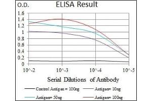 Black line: Control Antigen (100 ng), Purple line: Antigen(10 ng), Blue line: Antigen (50 ng), Red line: Antigen (100 ng), (RELB Antikörper  (AA 273-443))