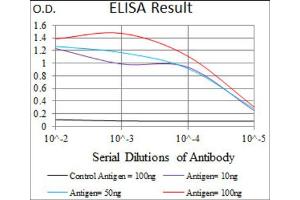 Immunohistochemistry (IHC) image for anti-Solute Carrier Family 2 (Facilitated Glucose Transporter), Member 4 (SLC2A4) (AA 224-353) antibody (ABIN1846354)